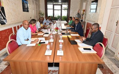 La Commission mixte ad hoc