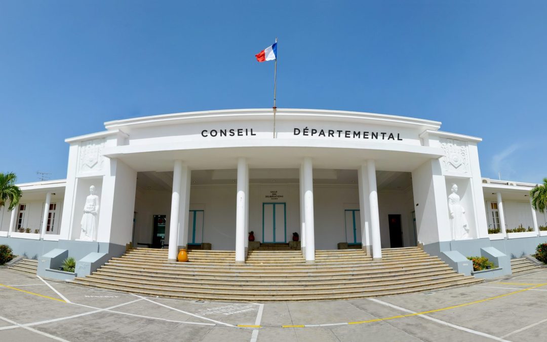 Plénière du Conseil départemental :les élus départementaux adoptent les résolutions du XIXe Congrès