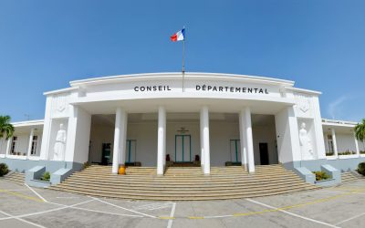 Plénière du Conseil départemental :les élus départementaux adoptent les résolutions du XIXe Congrès